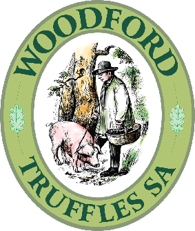Wood-logo