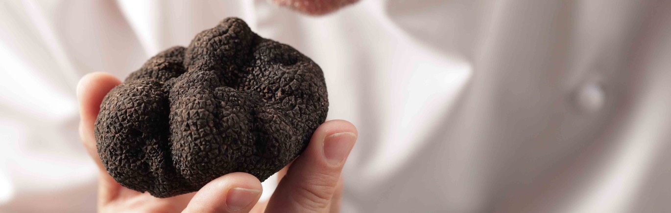 woodford truffle 1