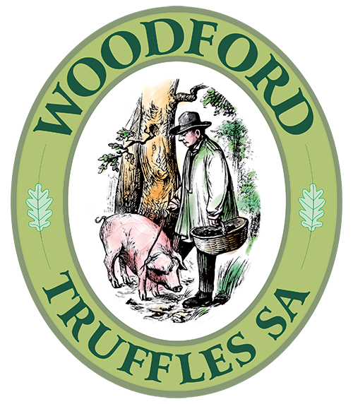 Woodfordlogo-large